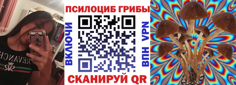 omg сайт  что такое наркотик  Костомукша  Псилоцибиновые грибы Psilocybine cubensis 